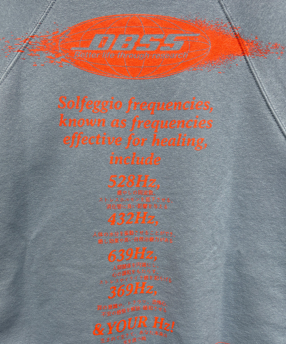 DIET BUTCHER SLIM SKIN - RADIAL SWEAT / GRAYISH BLUE