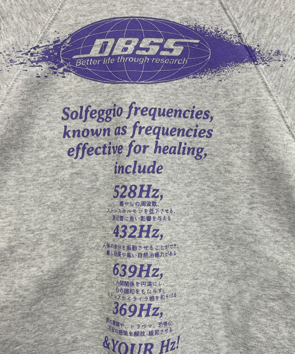 DIET BUTCHER SLIM SKIN - RADIAL SWEAT / HEATHER GRAY