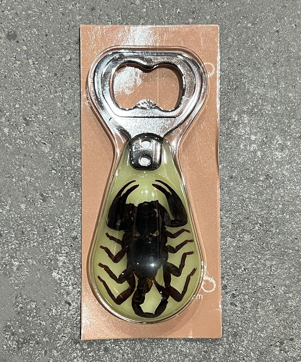 REAL BUG BLACK SCORPION MAGNETIC BOTTLE OPENER GLOW IN THE DARK - DB&BAR