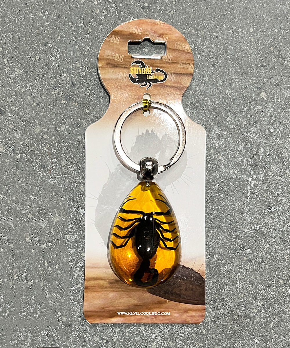 REAL BUG BLACK SCORPION TEAR DROP KEY CHAIN - AMBER - DB&BAR
