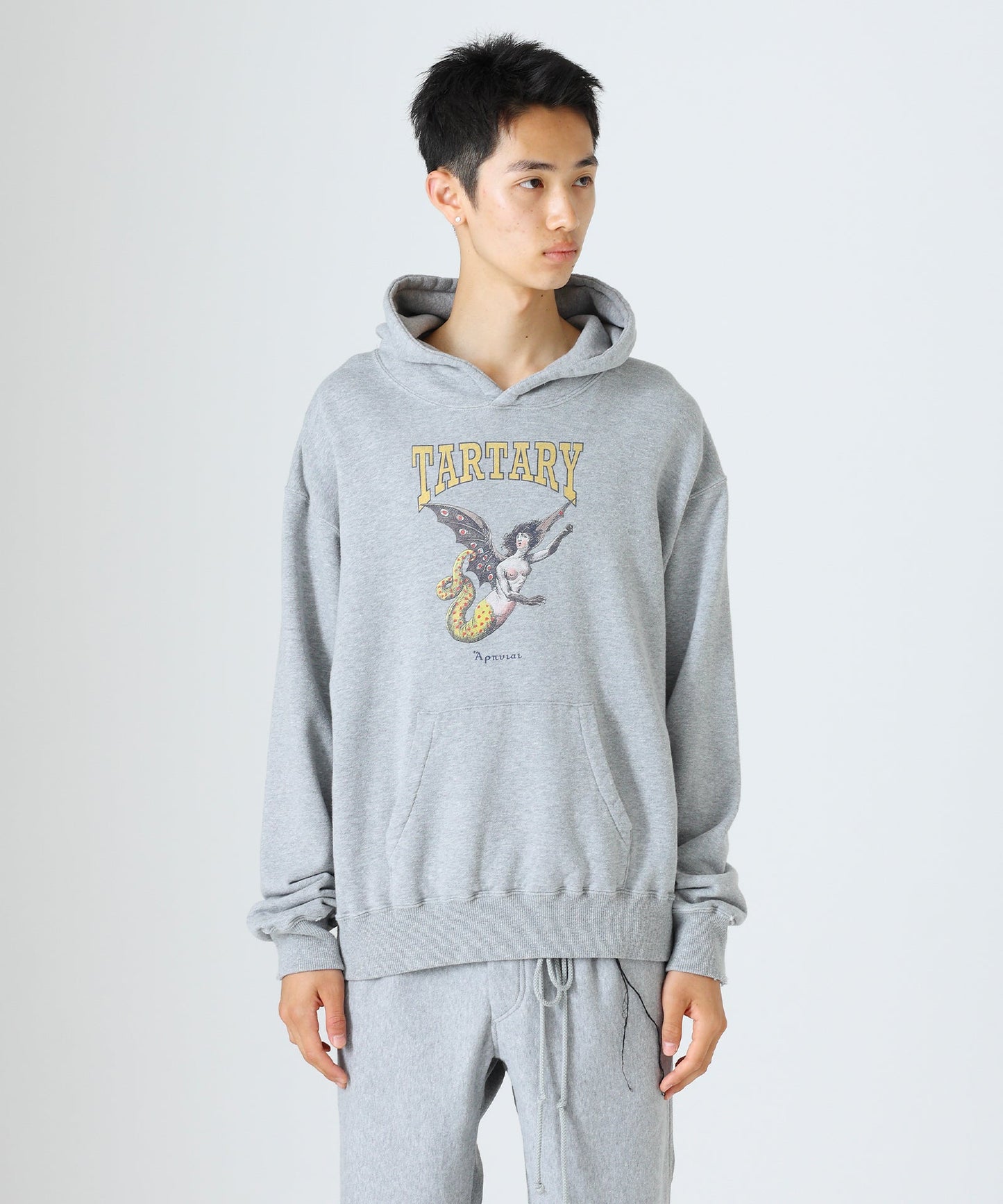 Vintage hoodie (HARPY) - HEATHER GRAY - DIET BUTCHER
