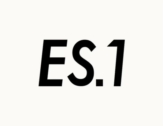 新入荷｜ES.1（エスアイ）“BORDER LS T-SHIRTS”