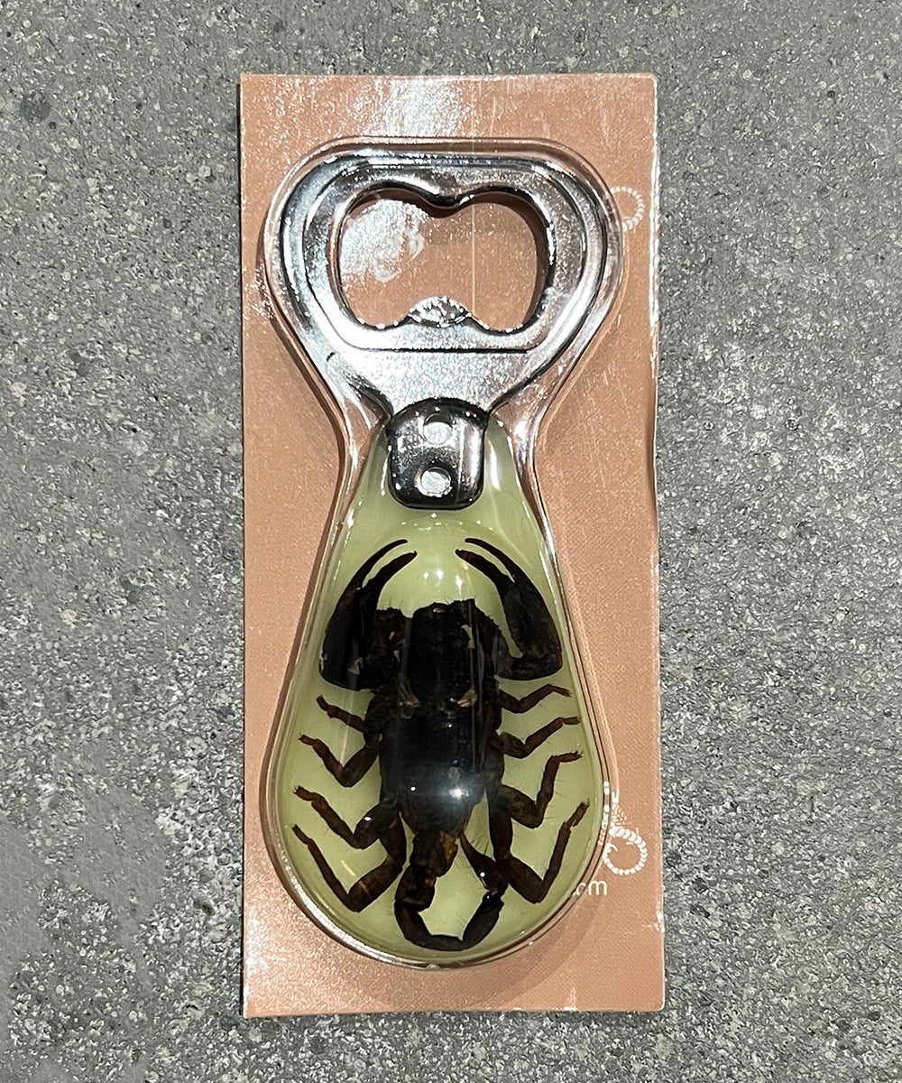 REAL BUG BLACK SCORPION MAGNETIC BOTTLE OPENER GLOW IN THE DARK