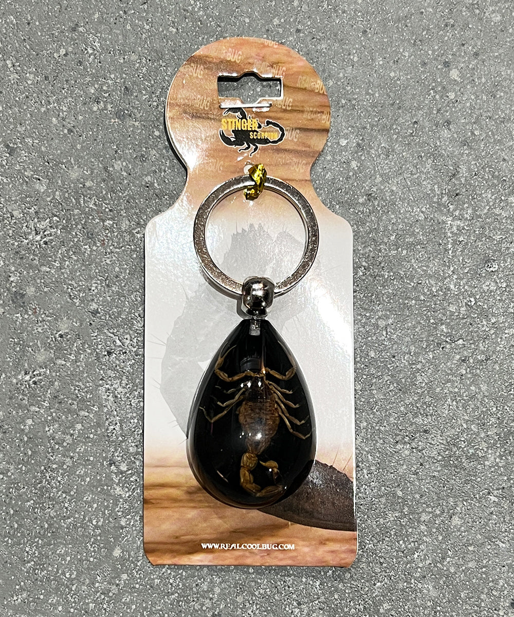 REAL BUG GOLD SCORPION TEAR DROP KEY CHAIN - BLACK