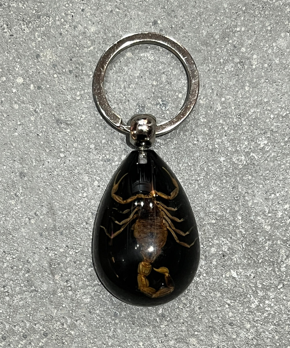 REAL BUG GOLD SCORPION TEAR DROP KEY CHAIN - BLACK