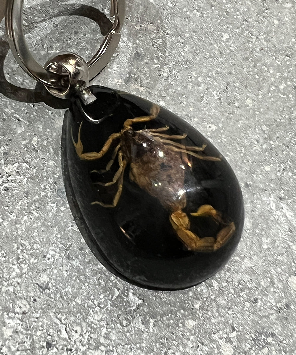 REAL BUG GOLD SCORPION TEAR DROP KEY CHAIN - BLACK