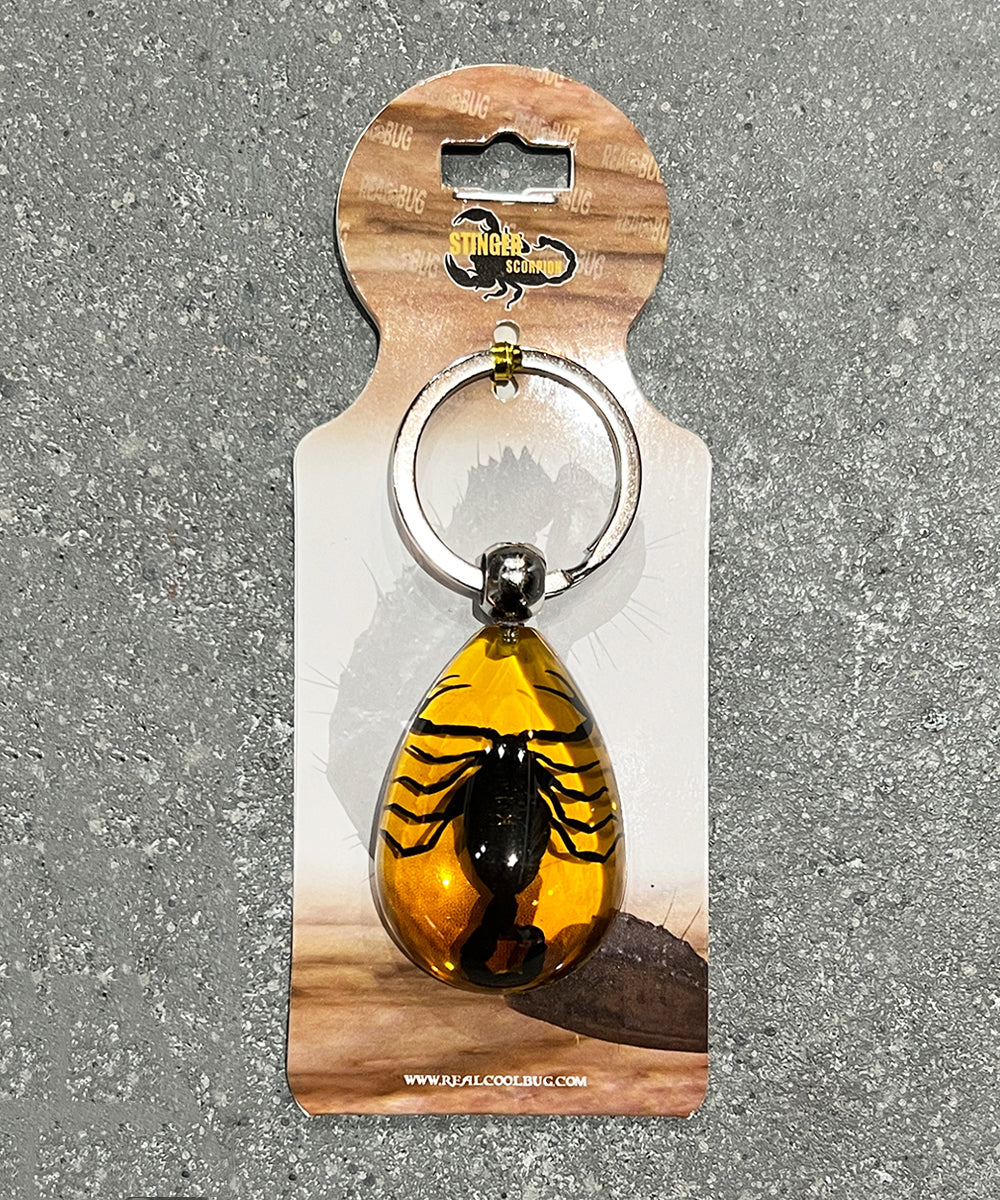 REAL BUG BLACK SCORPION TEAR DROP KEY CHAIN - AMBER