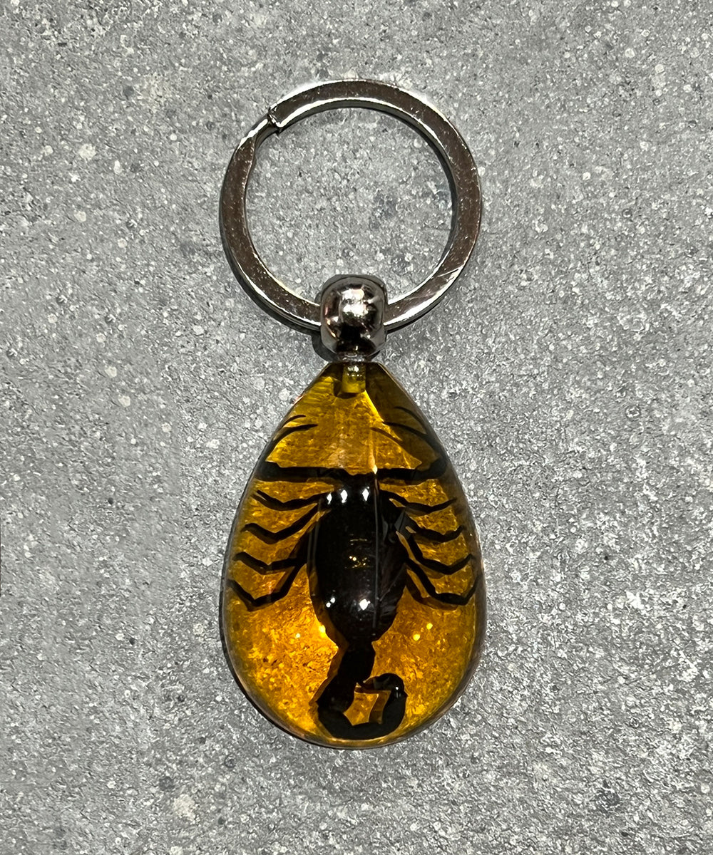 REAL BUG BLACK SCORPION TEAR DROP KEY CHAIN - AMBER