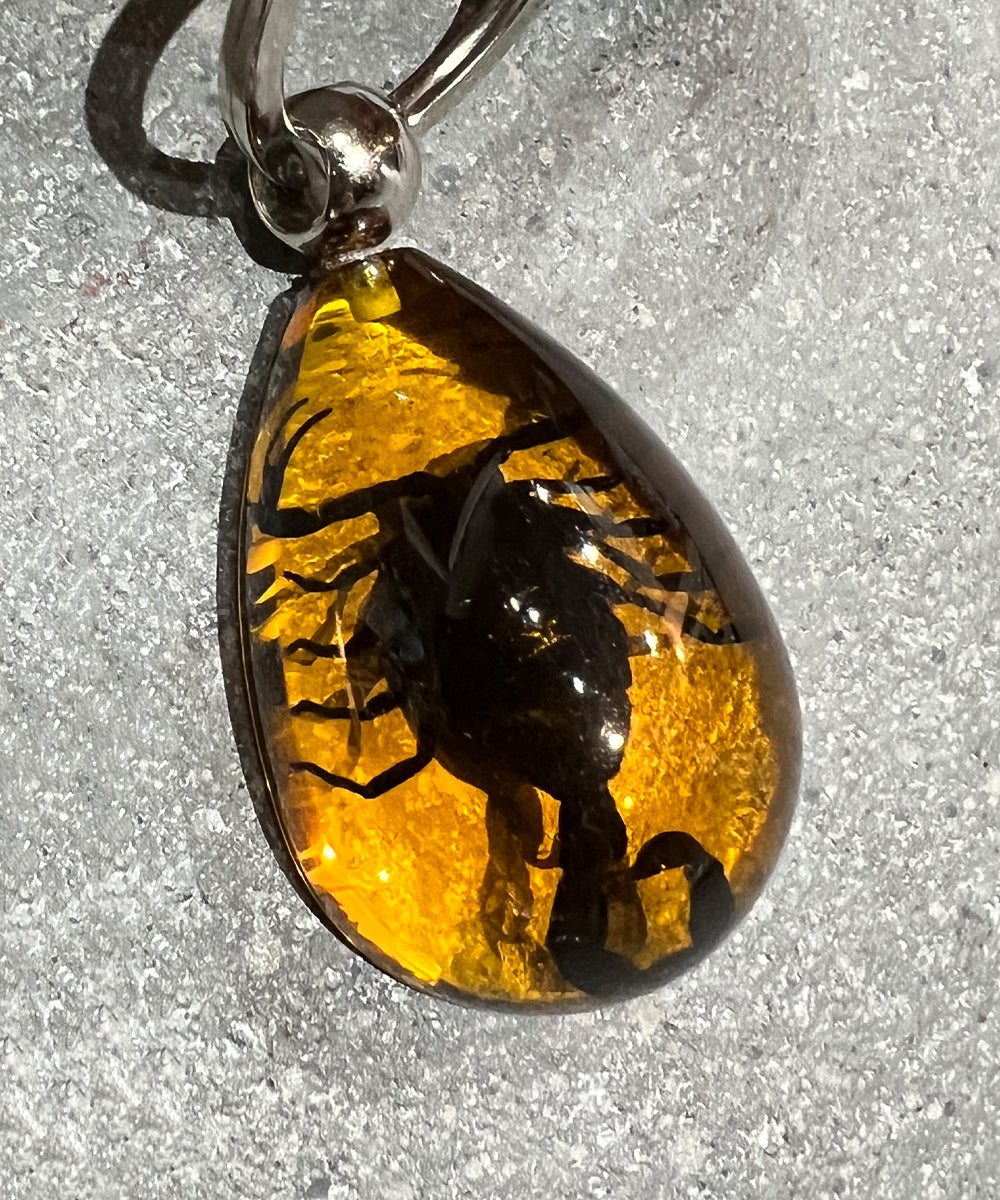 REAL BUG BLACK SCORPION TEAR DROP KEY CHAIN - AMBER