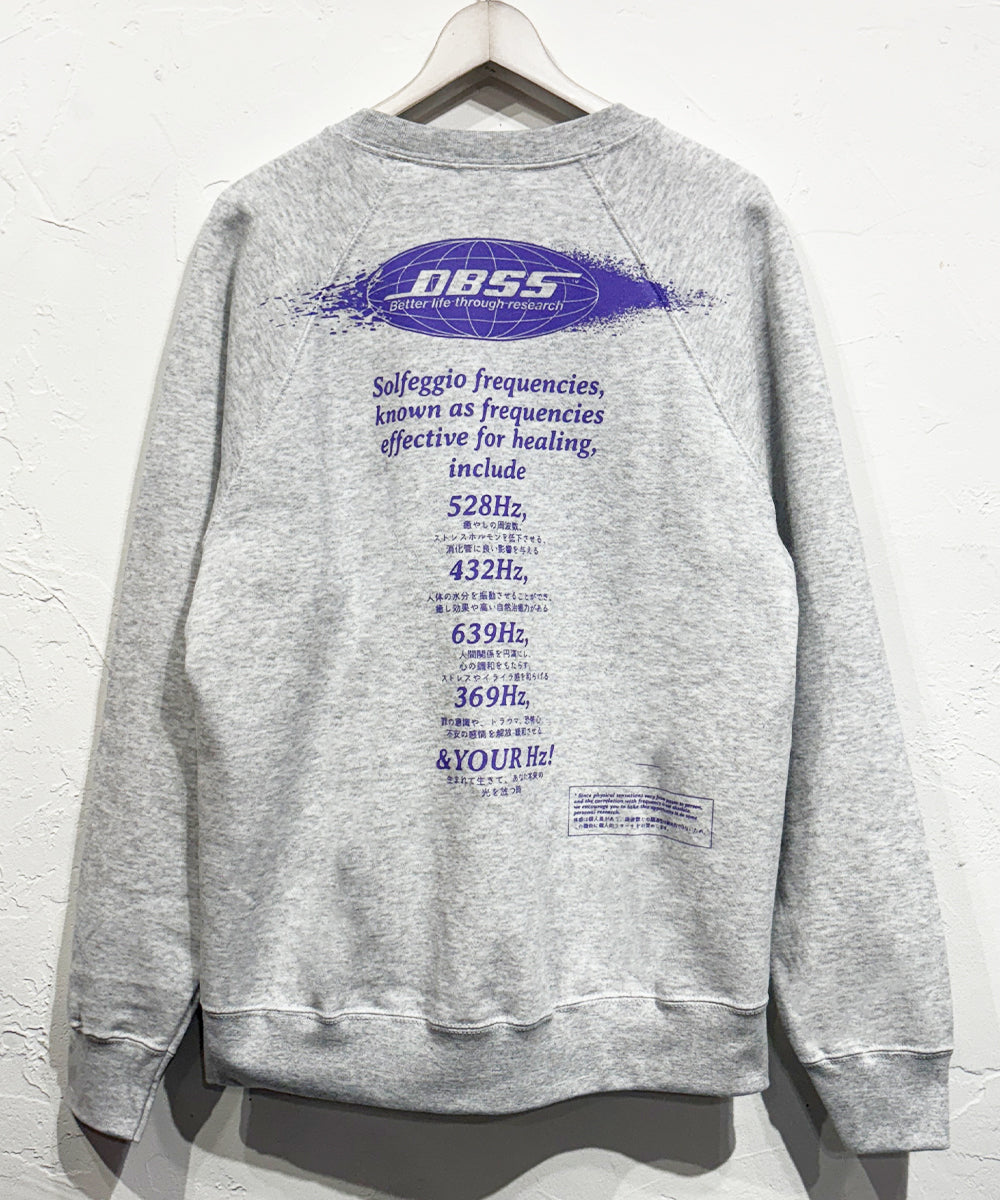 DIET BUTCHER SLIM SKIN - RADIAL SWEAT / HEATHER GRAY