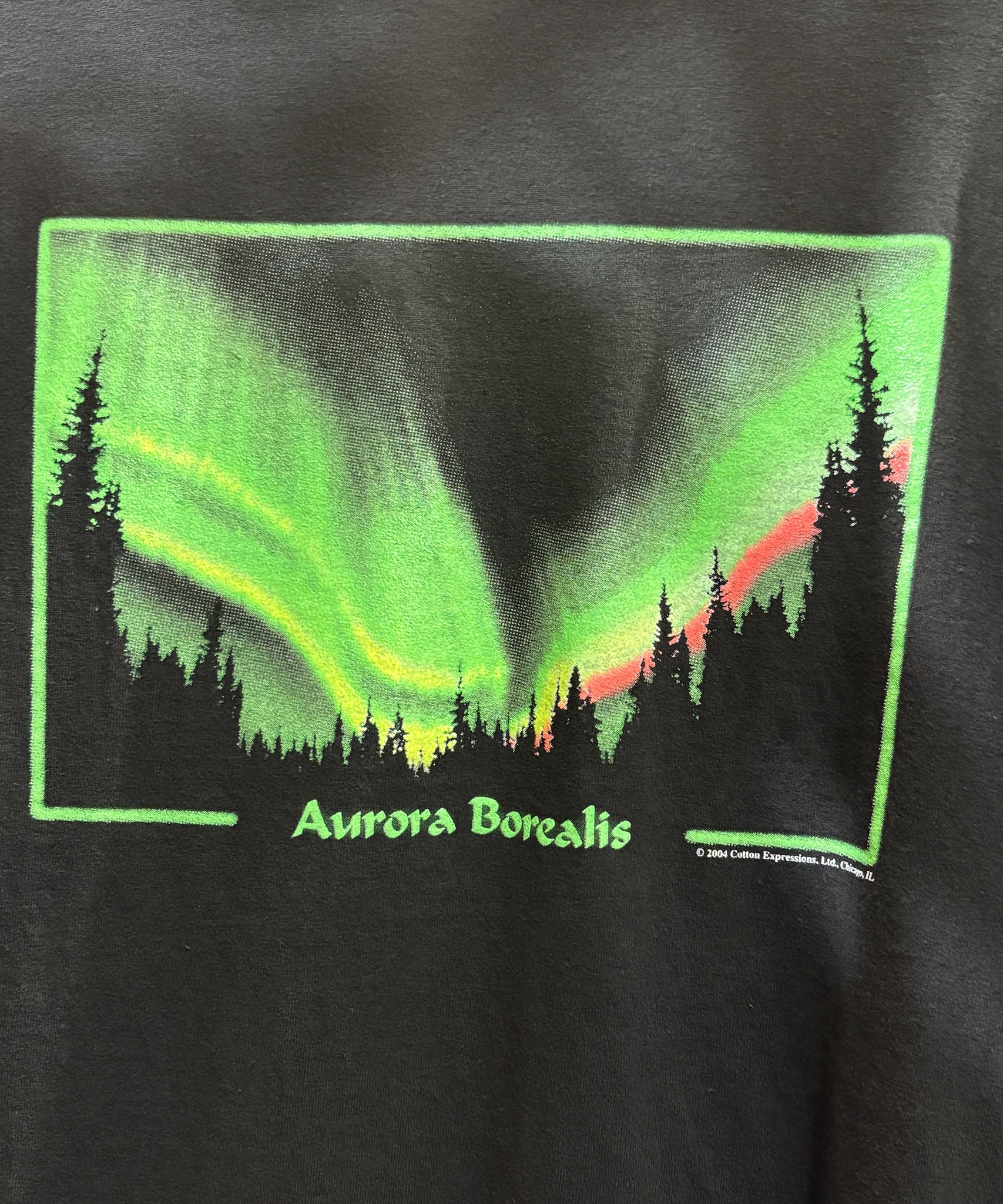 COTTON EXPRESSIONS - AURORA T - SHIRT / BLACK - DB&BAR