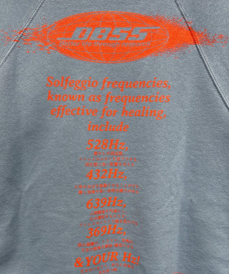 DIET BUTCHER SLIM SKIN - RADIAL SWEAT / GRAYISH BLUE 商品画像 - DB&BAR