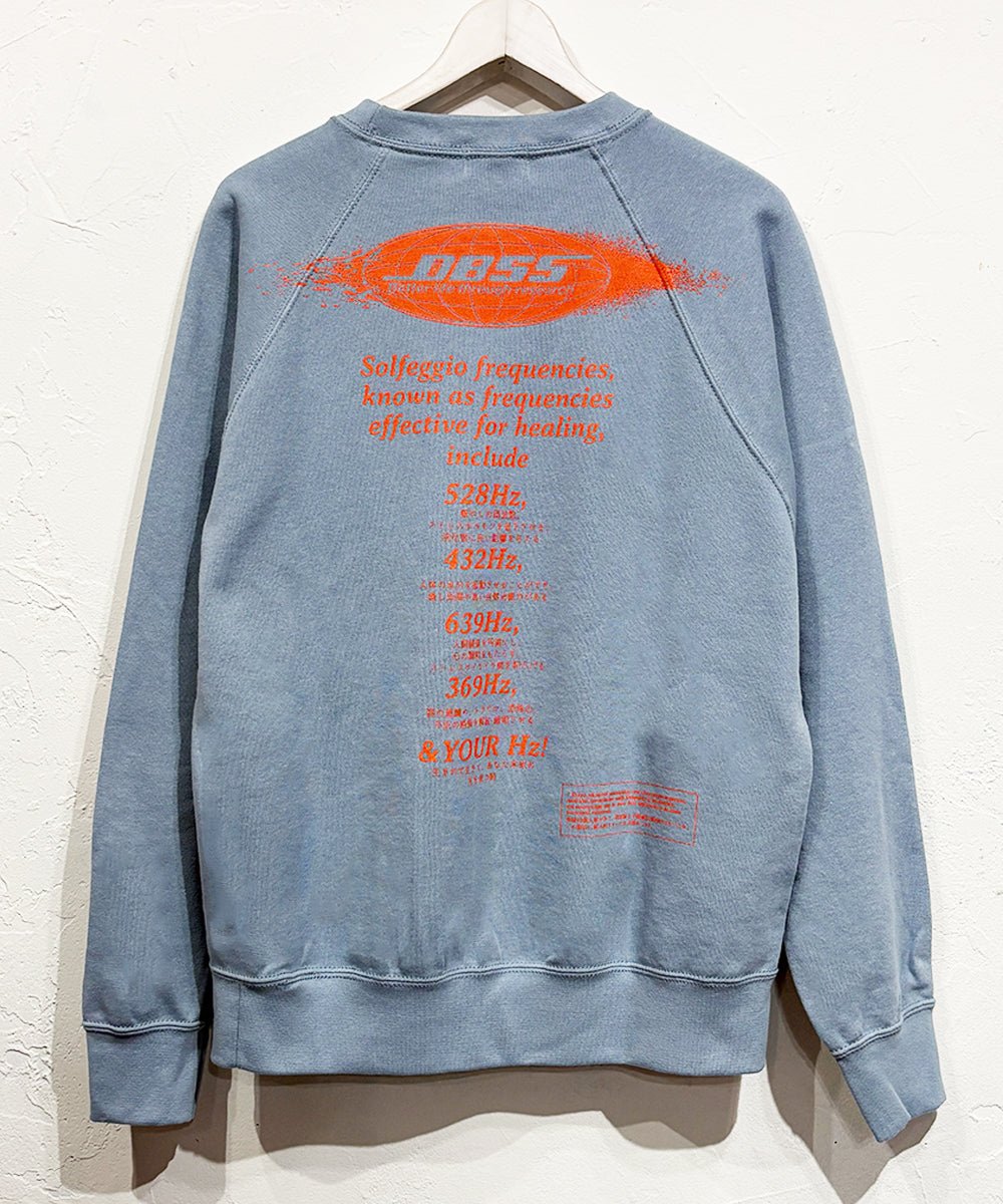 DIET BUTCHER SLIM SKIN - RADIAL SWEAT / GRAYISH BLUE 商品画像 - DB&BAR