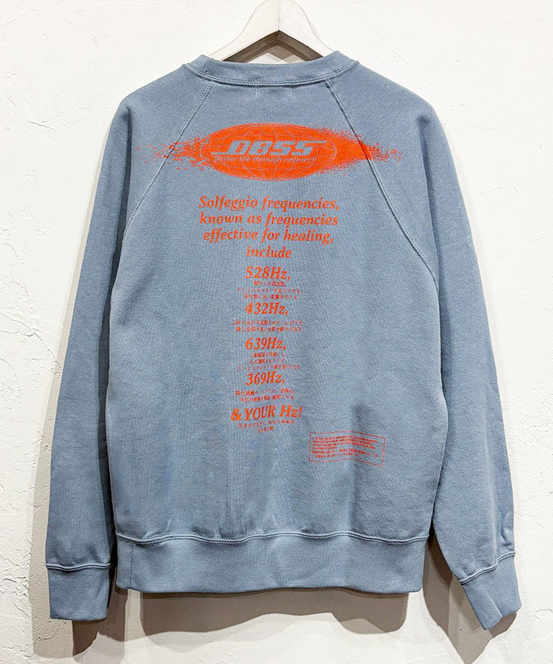 DIET BUTCHER SLIM SKIN - RADIAL SWEAT / GRAYISH BLUE 商品画像 - DB&BAR