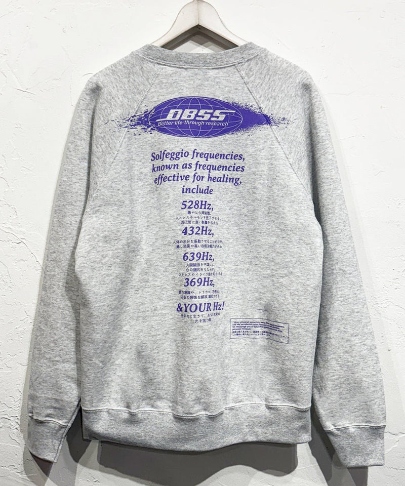 DIET BUTCHER SLIM SKIN - RADIAL SWEAT / HEATHER GRAY 商品画像 - DB&BAR