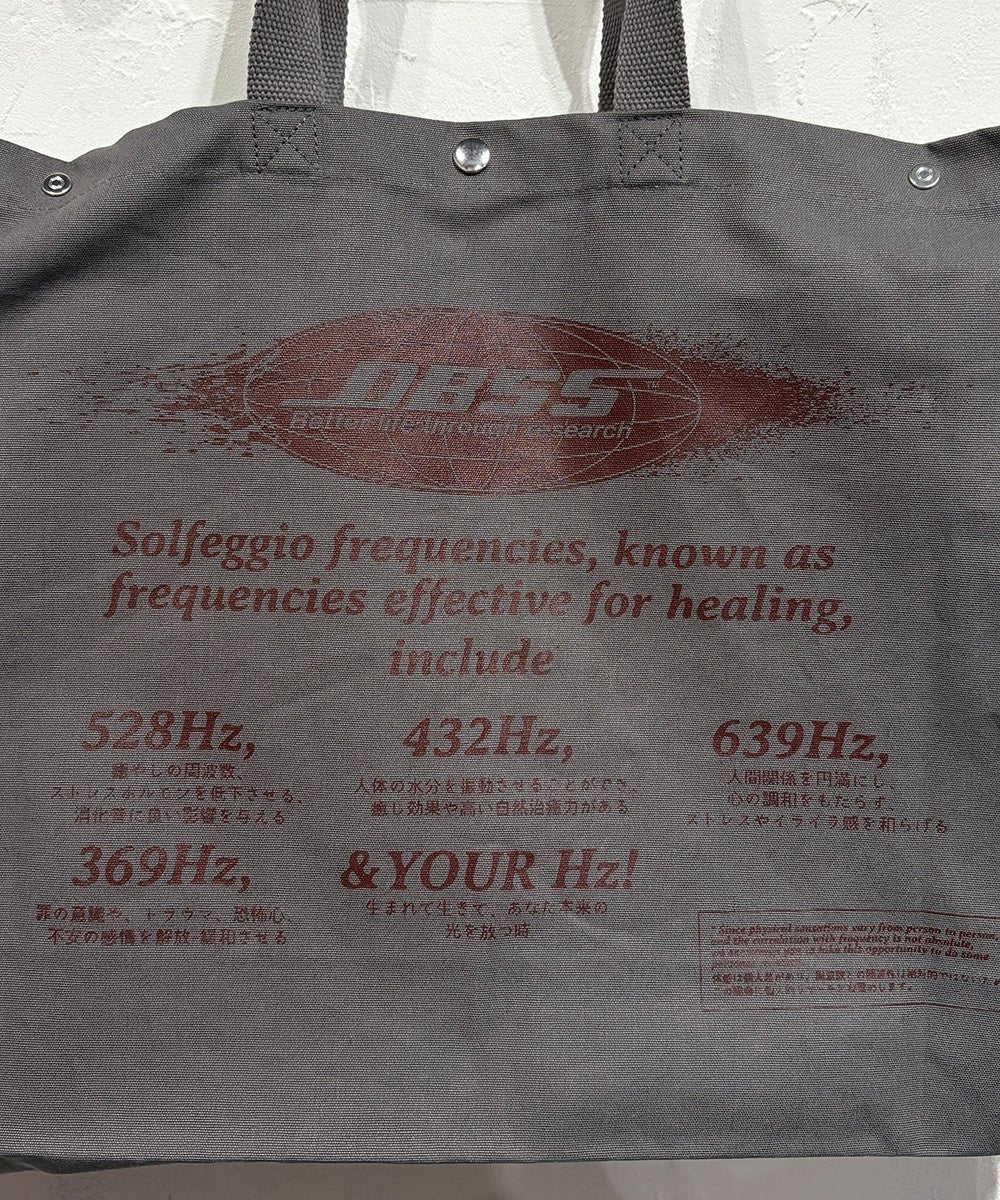DIET BUTCHER SLIM SKIN - SCALE TOTE / GRAY 商品画像 - DB&BAR