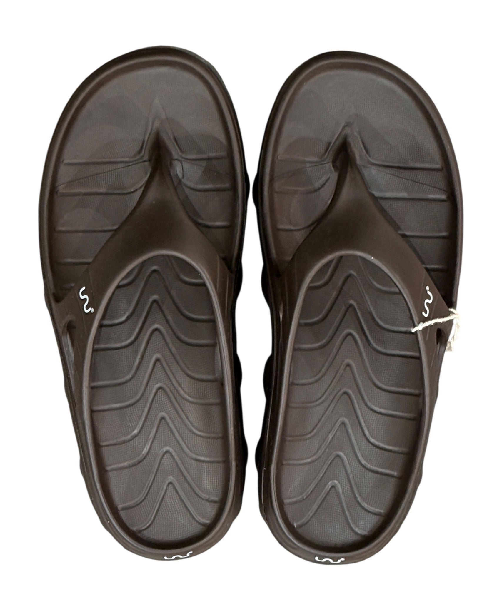 doubleu - RIVA / BROWN ONLINE STORE PAGE | ダブリュー - リバ ブラウン オンライン ストア ページ
1回のご注文が税込10,000円以上のお買い物は送料無料
中目黒セレクトショップ 商品画像