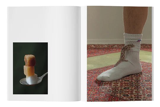 TEMPURA N°10: CRIME AND PUNISHMENT - Summer 2022 - DB&BAR