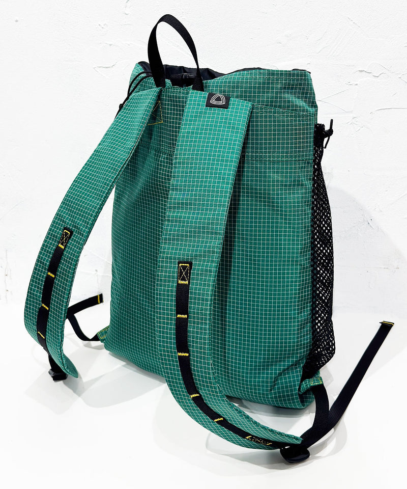 TRAIL BUM - BIG TURTLE / FOREST SPECTRA - DB&BAR